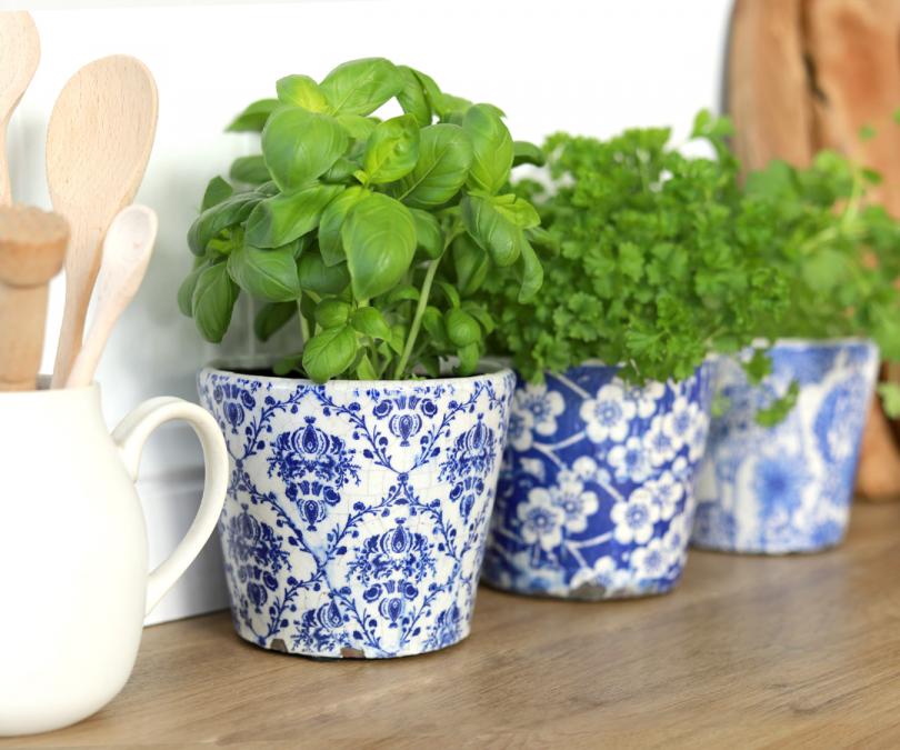 Set 3 Blue & White Floral Planters - Cherry Blossom Set