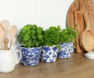 Set 3 Blue & White Floral Planters - Rose Set