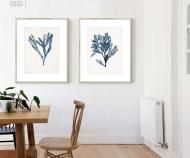 Seaweed Specimen I Art Print Framed