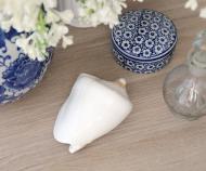 Venice White Shell - Voluta Nobilis Shell