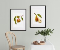 Pear in Branch I Framed Print - Watercolour Style Fruit Print
