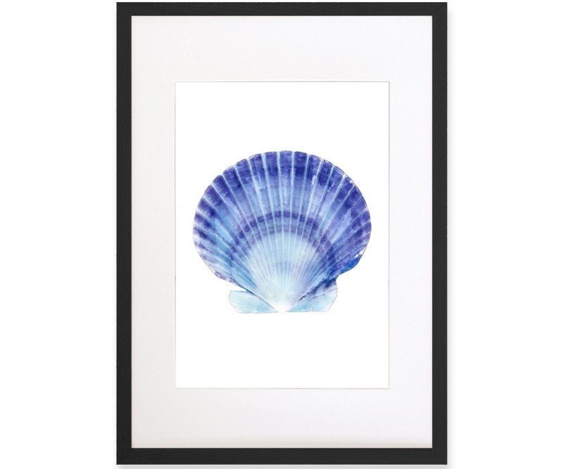 A2 Scallop Shell Blue & White Watercolour Framed Print