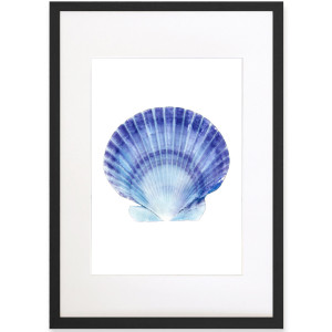 Scallop Shell Blue & White Watercolour Framed Print, framed wall artwork