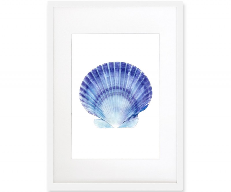 Scallop Shell Blue & White Watercolour Framed Print