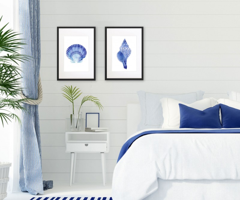 A2 Scallop Shell Blue & White Watercolour Framed Print
