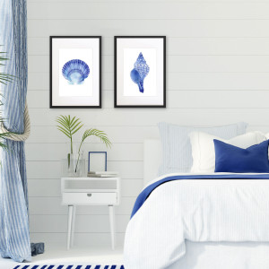 Scallop Shell Blue & White Watercolour Framed Print, decorative wall artwork for an interior display