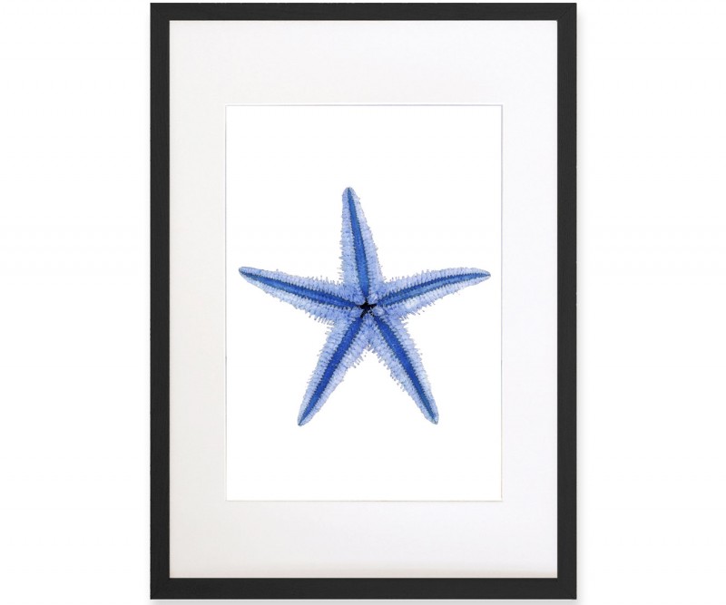 A2 Starfish Blue & White Watercolour Framed Print