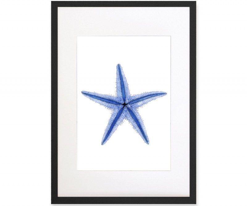 Blue Starfish Art