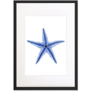 Starfish Blue & White Watercolour Framed Print, framed wall artwork