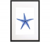 Starfish Blue & White Watercolour Framed Print