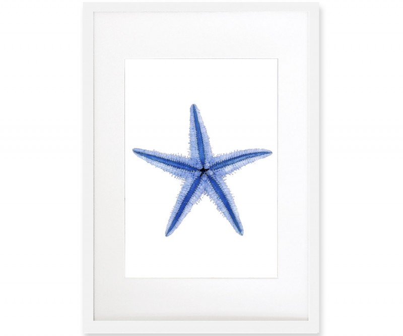 Starfish Blue & White Watercolour Framed Print
