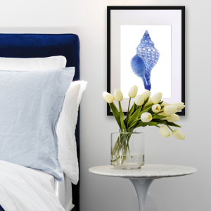 Spindle Shell Blue & White Watercolour Framed Print, decorative wall artwork for an interior display