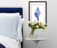 Spindle Shell Blue & White Watercolour Framed Print