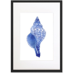 Spindle Shell Blue & White Watercolour Framed Print, framed wall artwork