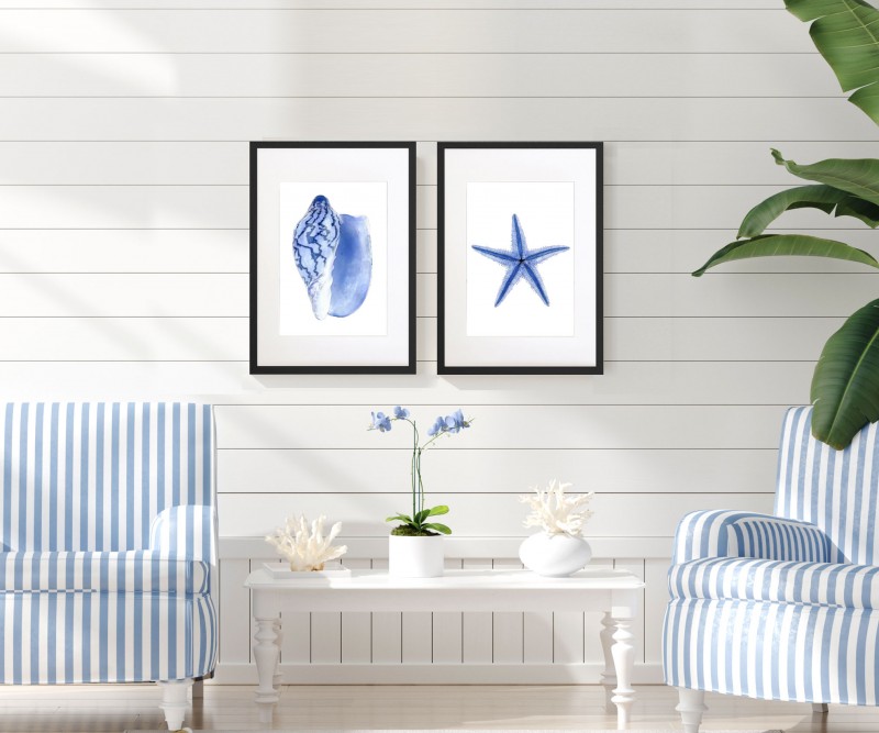Cassis Shell Blue & White Watercolour Framed Print
