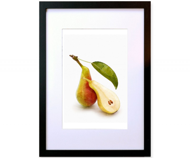 A3 Pear Botanical II Framed Print - Watercolour Style Fruit Print