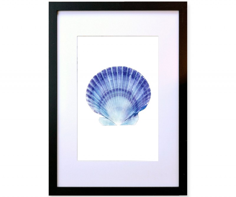A3 Scallop Shell Blue & White Watercolour Framed Print