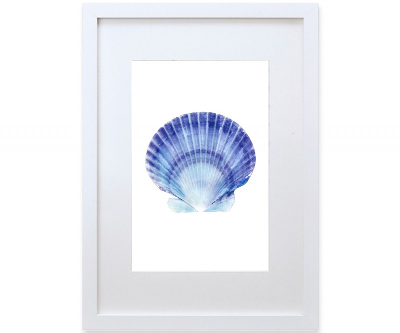 A3 Scallop Shell Blue & White Watercolour Framed Print