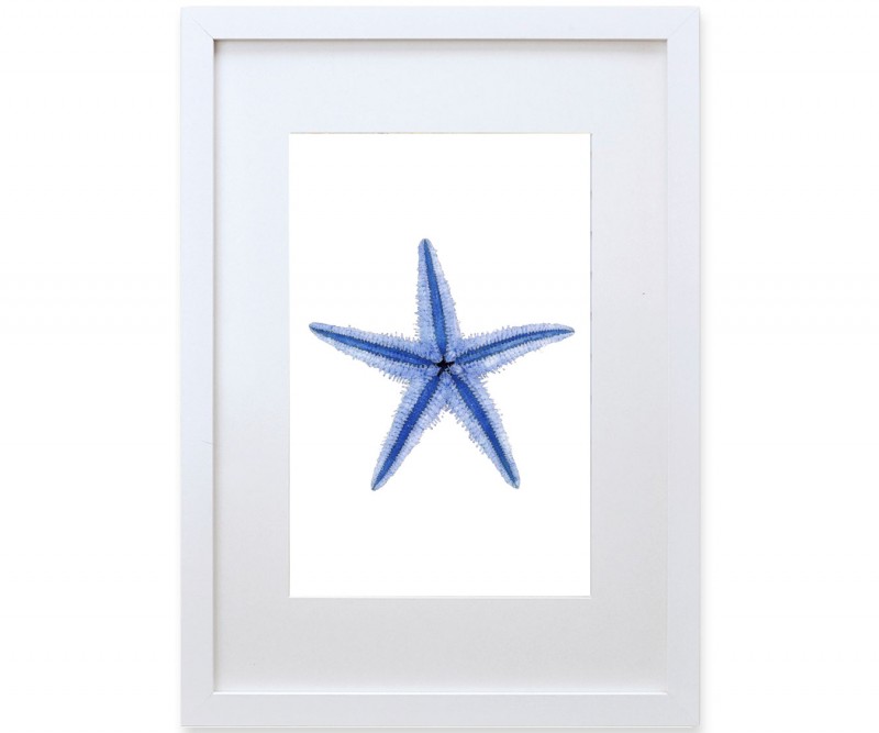 A3 Starfish Blue & White Watercolour Framed Print