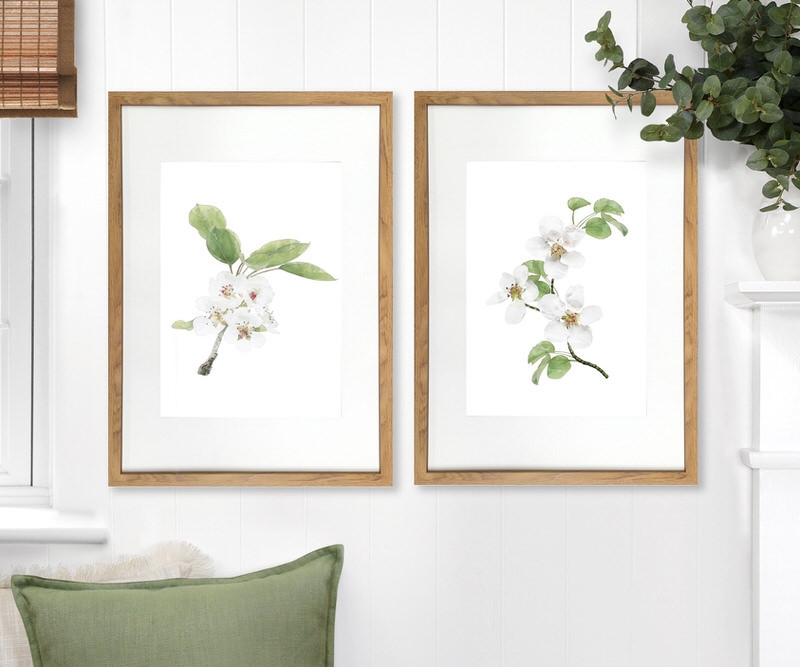 Apple Blossom I Botanical Flower Print - Framed