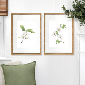 Apple Blossom I Botanical Flower Print - Framed, decorative wall artwork for an interior display