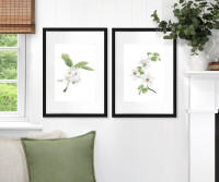 Apple Blossom I Botanical Flower Print - Framed