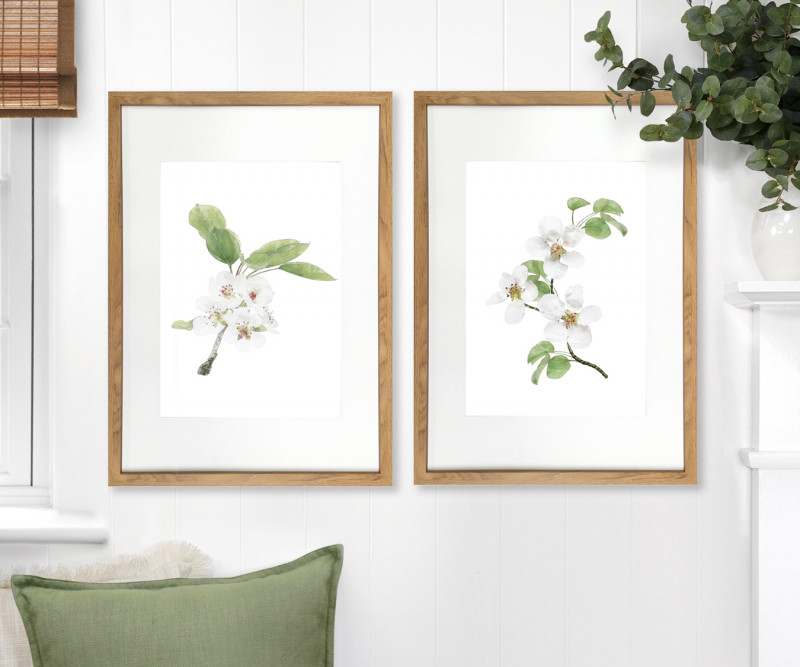 Apple Blossom II Botanical Flower Print - Framed