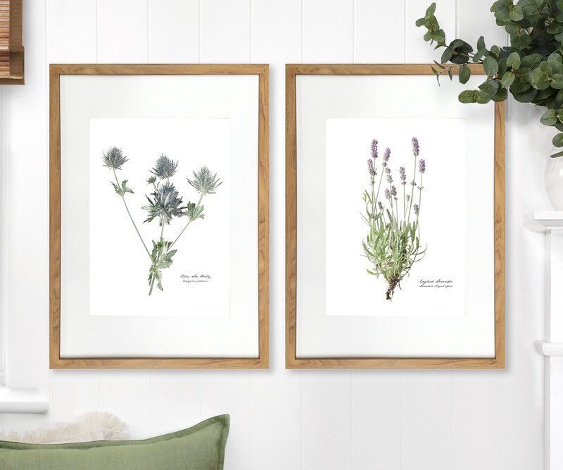 Lavender Botanical Flower Print - Framed