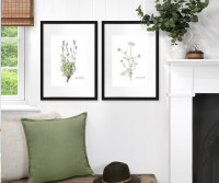 Lavender Botanical Flower Print - Framed