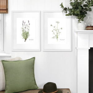 Queen Anne's Lace Botanical Flower Print - Framed, a wall display piece featuring the named subject and composition