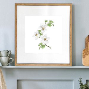 Apple Blossom II Botanical Flower Print - Framed