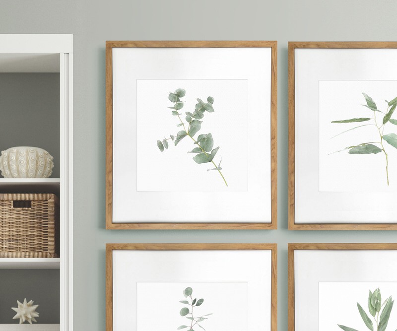 Kendale I Eucalyptus Botanical Print - Framed