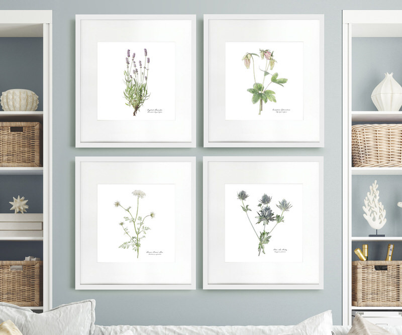 Lavender Botanical Flower Print - Framed