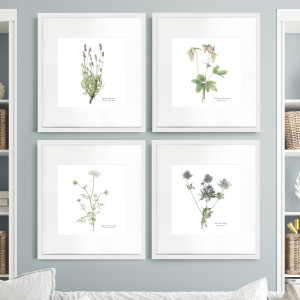 Lavender Botanical Flower Print - Framed, decorative wall artwork for an interior display