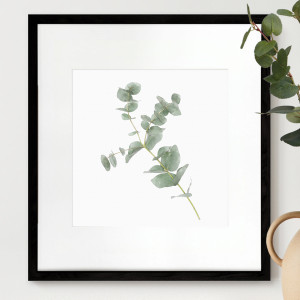 Kendale I Eucalyptus Botanical Print - Framed