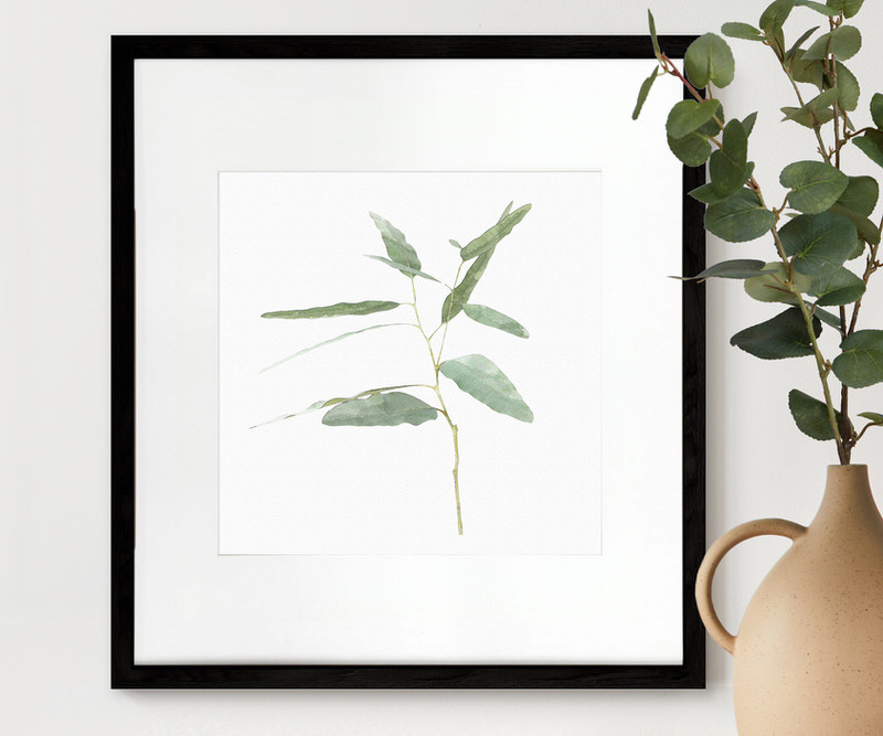 Kendale II Eucalyptus Botanical Print - Framed