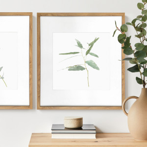 Kendale II Eucalyptus Botanical Print - Framed, a wall display piece featuring the named subject and composition