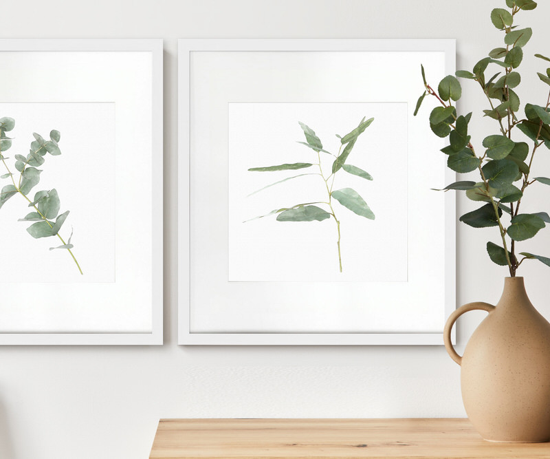 Kendale II Eucalyptus Botanical Print - Framed