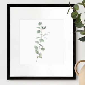 Kendale III Eucalyptus Botanical Print - Framed