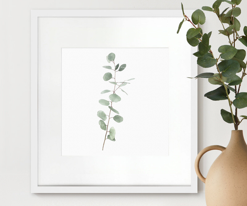 Kendale III Eucalyptus Botanical Print - Framed