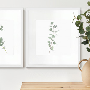 Kendale III Eucalyptus Botanical Print - Framed, a wall display piece featuring the named subject and composition