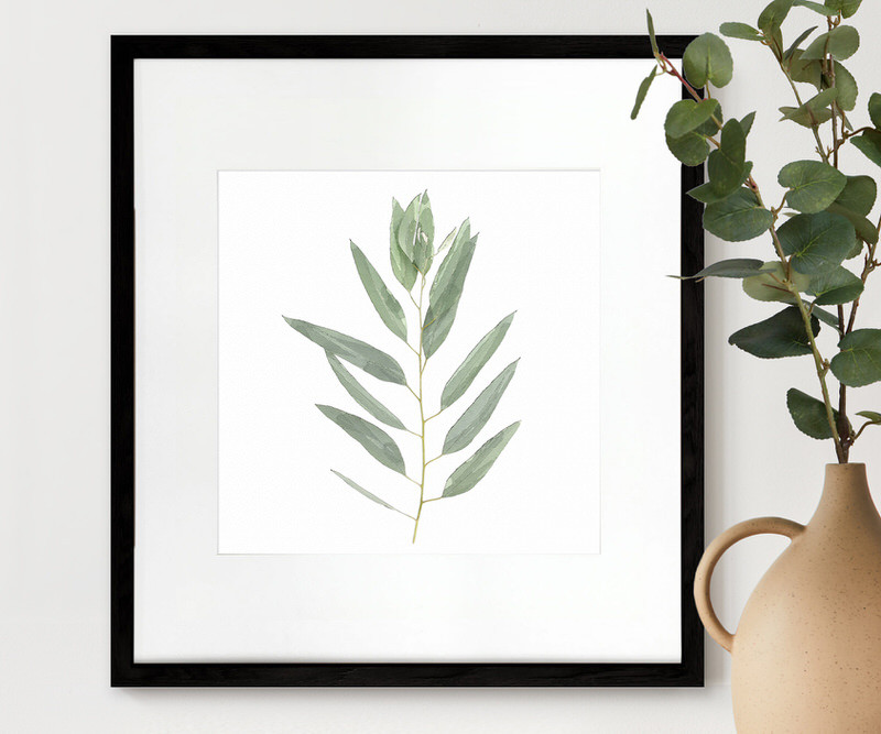 Kendale IV Eucalyptus Botanical Print - Framed