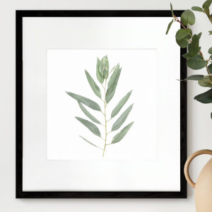 Kendale IV Eucalyptus Botanical Print - Framed