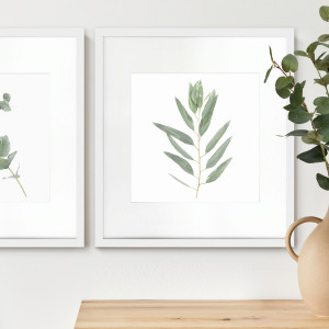 Kendale IV Eucalyptus Botanical Print - Framed, a wall display piece featuring the named subject and composition