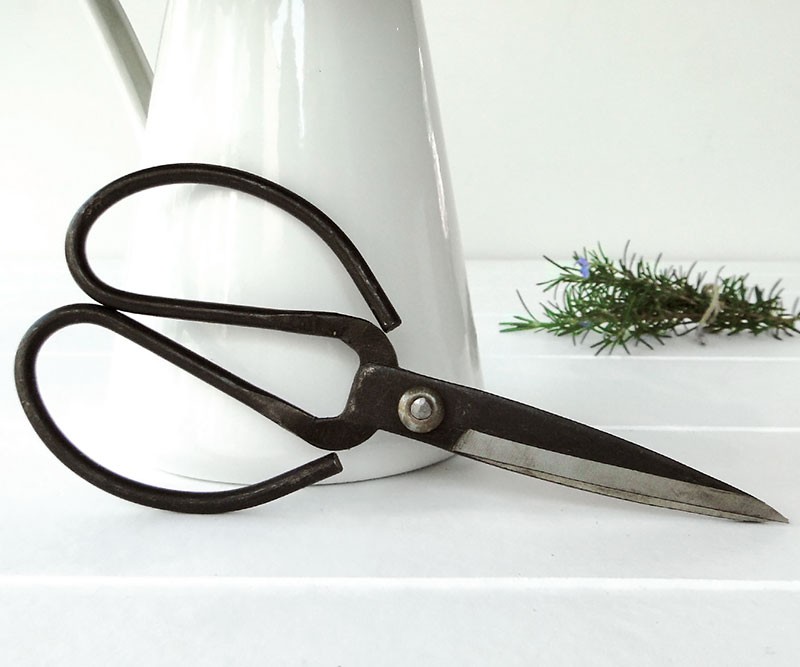 French Scissors - Large