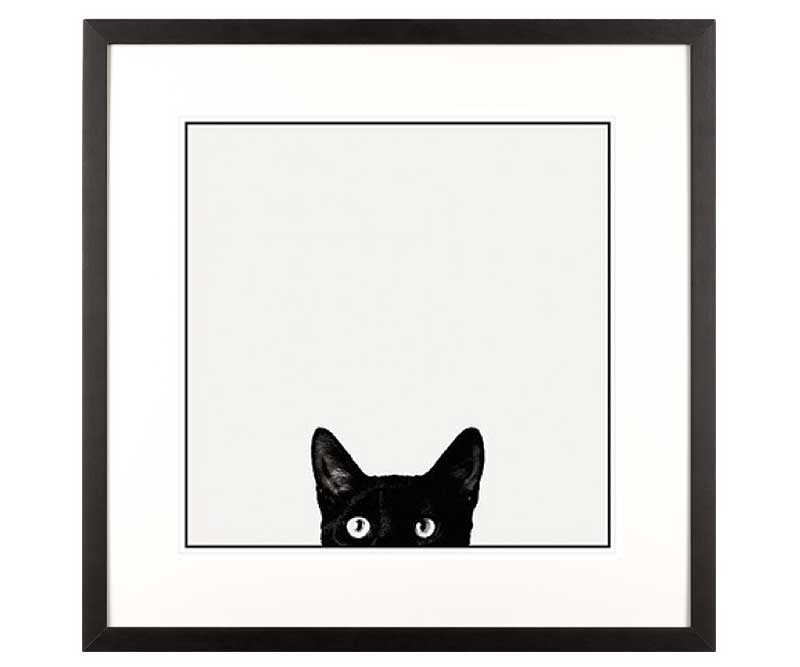 'Curiosity' Black Cat Art Print Framed