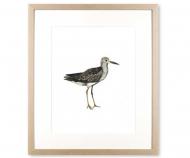 Sandpiper Sea Bird III Art Print Framed