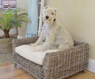 Cane Dog Bed Small with Cushion