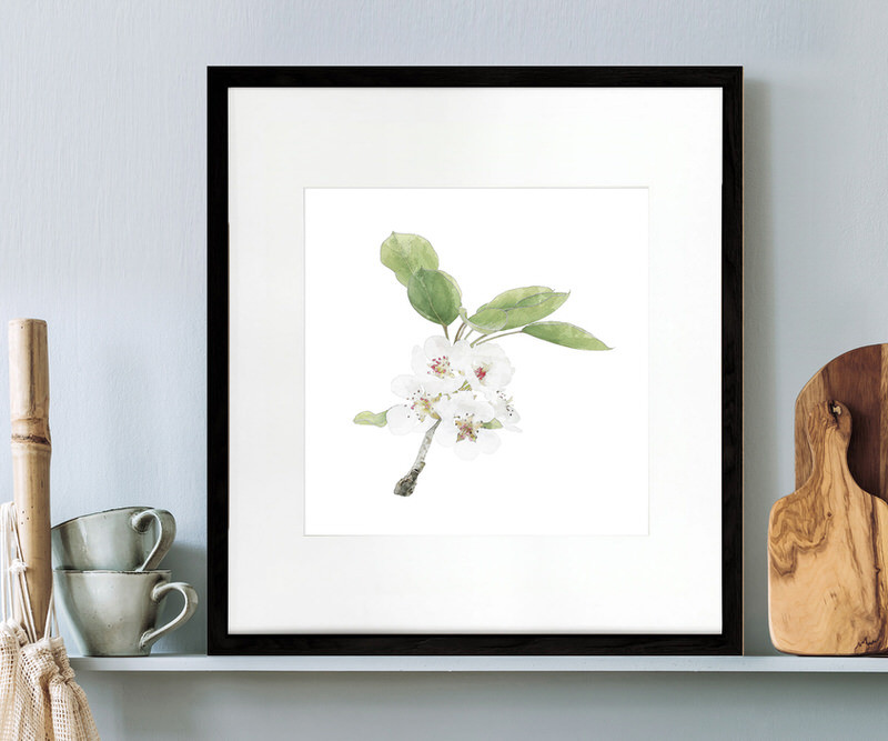 Apple Blossom I Botanical Flower Print - Framed