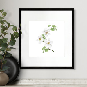 Apple Blossom II Botanical Flower Print - Framed, a wall display piece featuring the named subject and composition